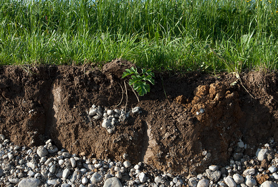 场地环境调查评估