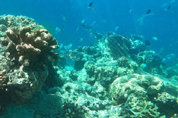 海洋沉积物检测