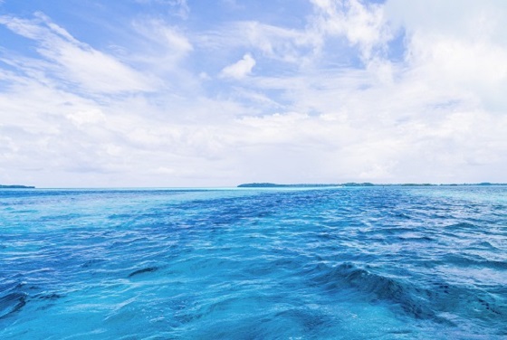 海洋环境监测与评价