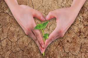 什么是“碳金融”？和我们有什么关系？